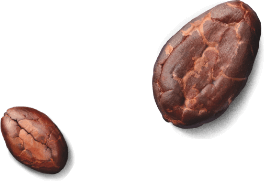 bean